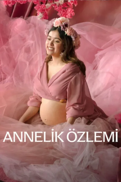 Annelik Özlemi (2026) Suç